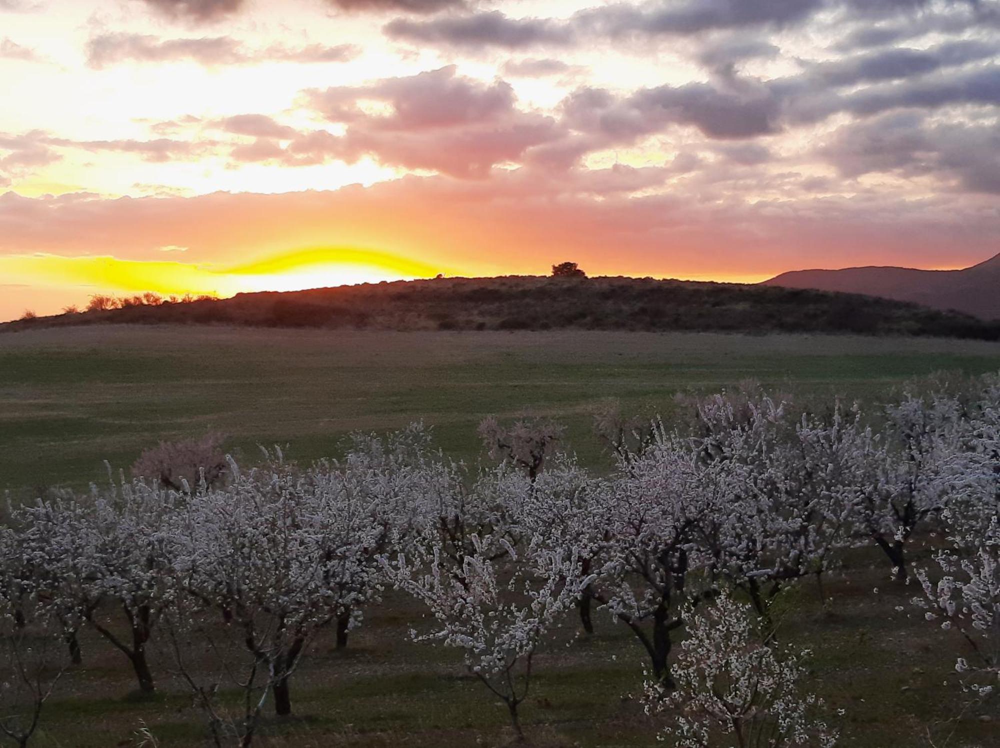 Hotel Rural Flor De Almendro ลัวร์เร ภายนอก รูปภาพ